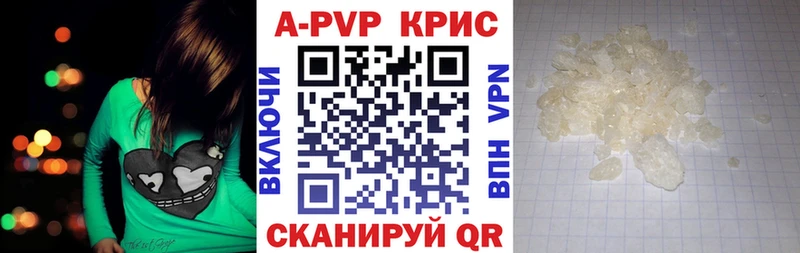 А ПВП СК КРИС  Андреаполь 