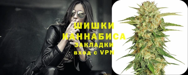 тгк Новодвинск