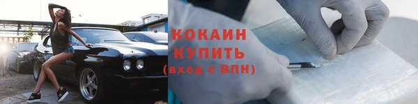 тгк Новодвинск