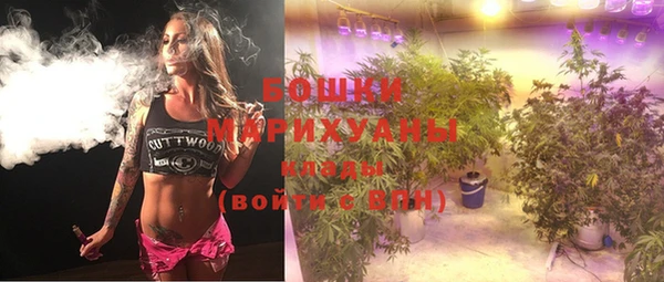 крисы Новозыбков