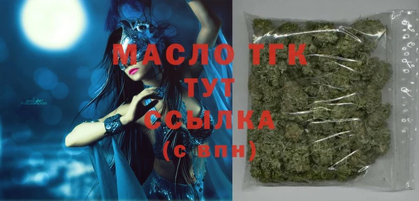 тгк Новодвинск