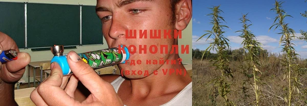 тгк Новодвинск