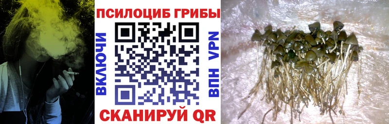 Псилоцибиновые грибы мухоморы  Андреаполь 